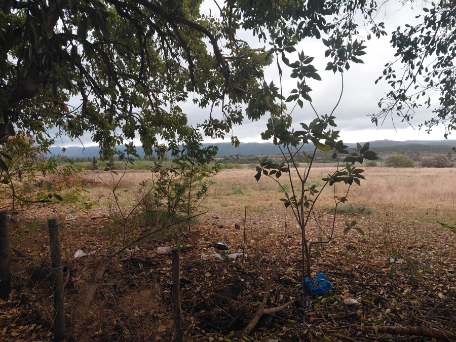 Commercial Property for Sale in Kruisrivier Eastern Cape